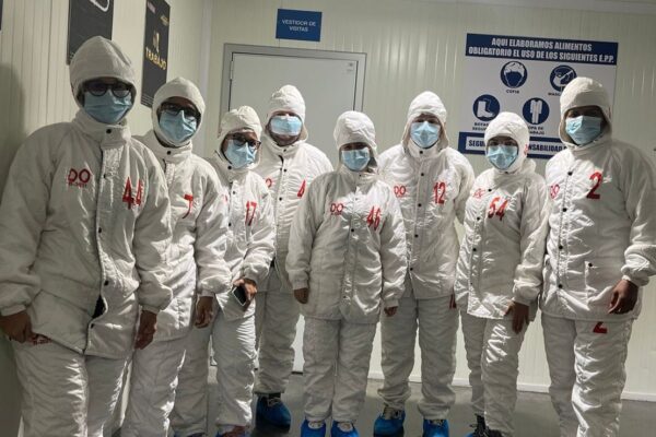 WhatsApp Image 2023-05-10 at 22.30.19 (1) WhatsApp Image 2023-05-10 at 22.30.19 (1)